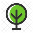 Tree  Icon