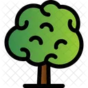Tree Forest Nature Icon
