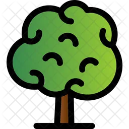 Tree  Icon