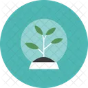 Tree Plant Innovation Icon