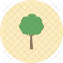 Tree  Icon