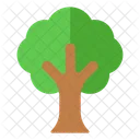 Tree Icon