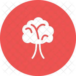 Tree  Icon