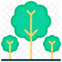 Tree Nature Plant Icon