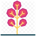 Tree Nature Plant Icon