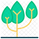 Tree  Icon