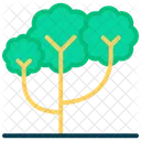 Tree Nature Plant Icon