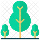 Tree  Icon