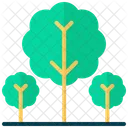 Tree  Icon