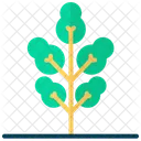 Tree  Icon