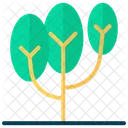 Tree  Icon