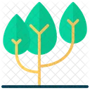 Tree  Icon