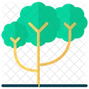 Tree  Icon