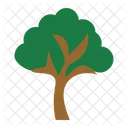 Tree  Icon