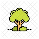 Tree Forest Icon