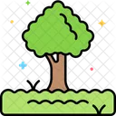 나무 식물 숲 아이콘