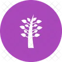 Tree Plant Icon