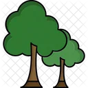 Tree Nature Plant Icon