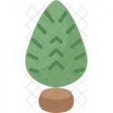 Tree Mini Fir Icon