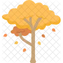 Tree Fall Autumn Icon