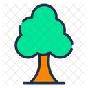 Tree  Icon