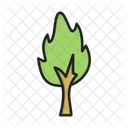 Ecology Scenery Tree Icon