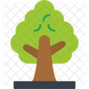 Tree Large Plant Icon