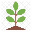 Tree Plant Smart Farm Icon
