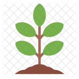 Tree  Icon