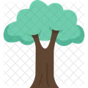 Tree Forest Plant Icon