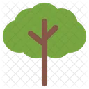 Tree Nature Plant Icon