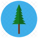 Tree  Icon