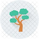 Generic Tree Oak Icon