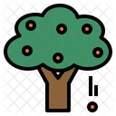 Tree Plant Fruit Icon