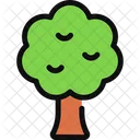 Tree Ecology Nature Icon