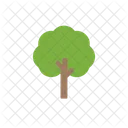 Tree  Icône