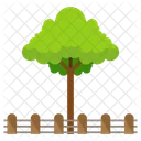 Tree  Icon