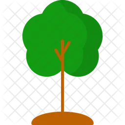 Tree  Icon