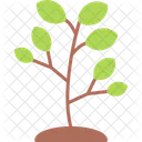 Tree Nature Forest Icon