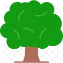 Tree Nature Forest Icon