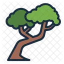 Tree Botanical Nature Icon