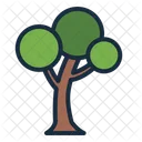 Tree Botanical Nature Icon