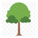 Tree Botanical Nature Icon