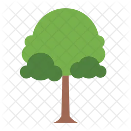 Tree  Icon