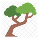 Tree Botanical Nature Icon