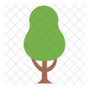 Tree Botanical Nature Icon