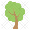 Nature Tree Ecology Icon