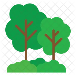 Tree  Icon