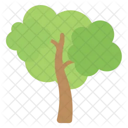 Tree  Icon