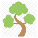 Nature Tree Ecology Icon